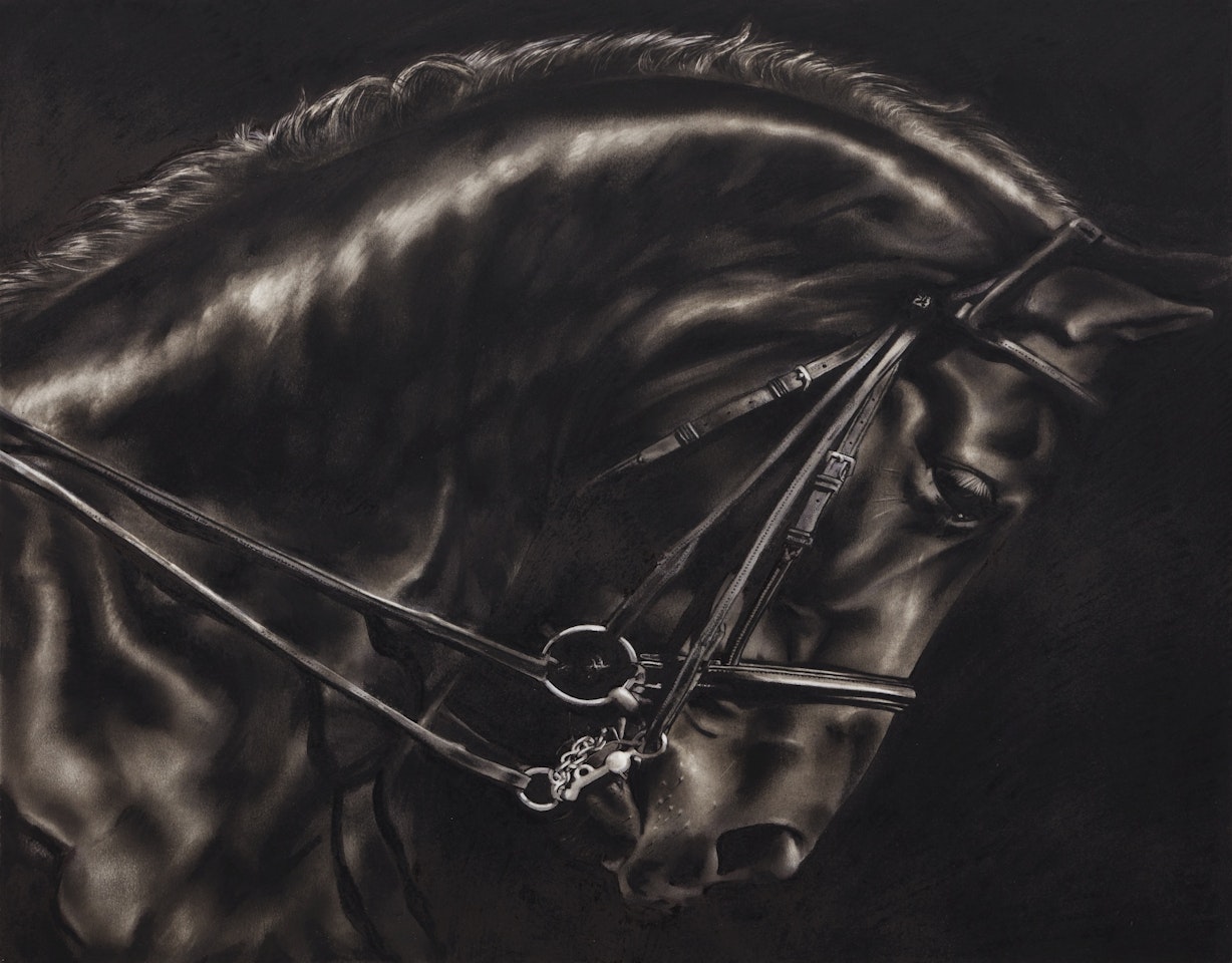 STUDY OF STALLION'S ARC by Robert Longo