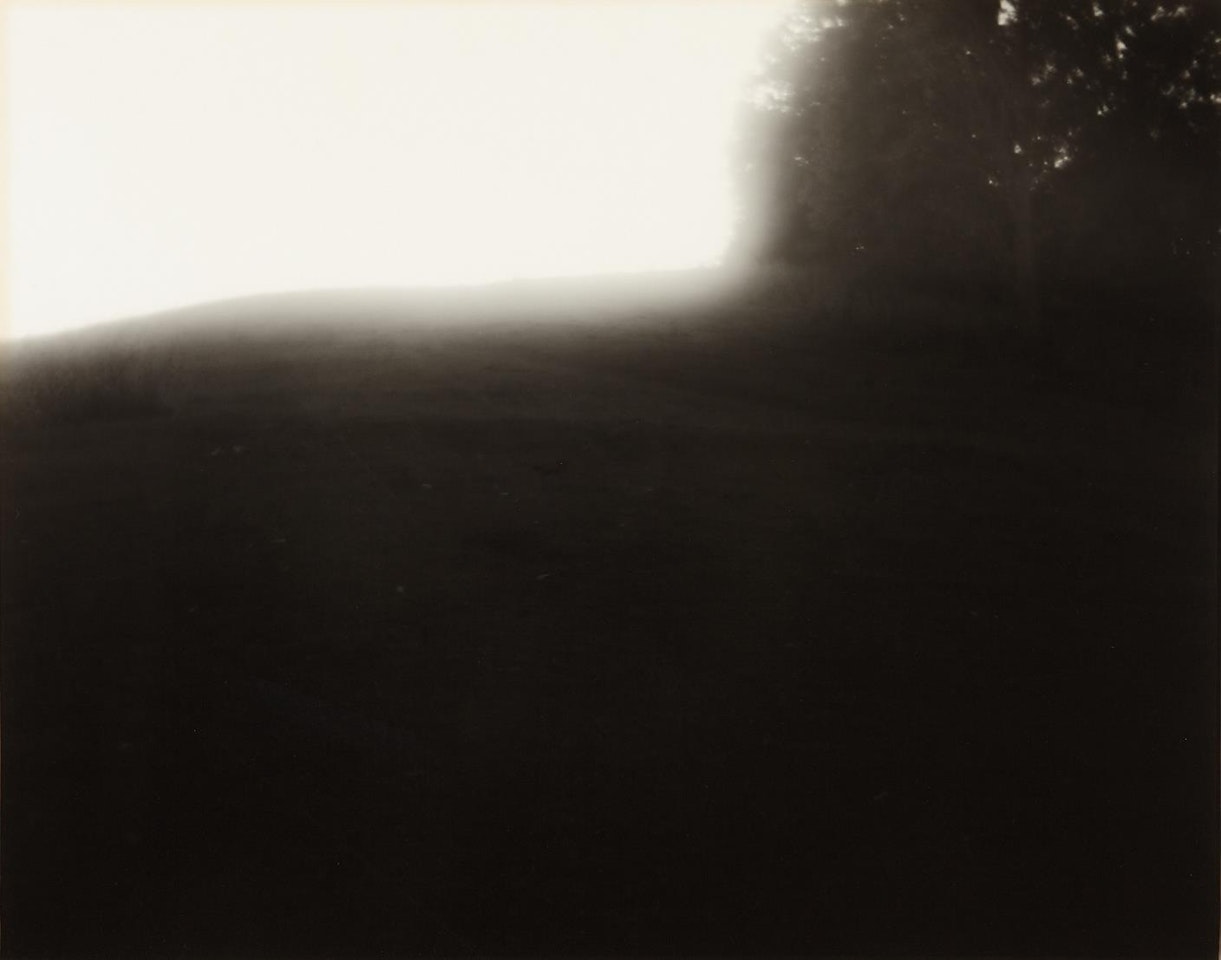 Untitled by Sally Mann