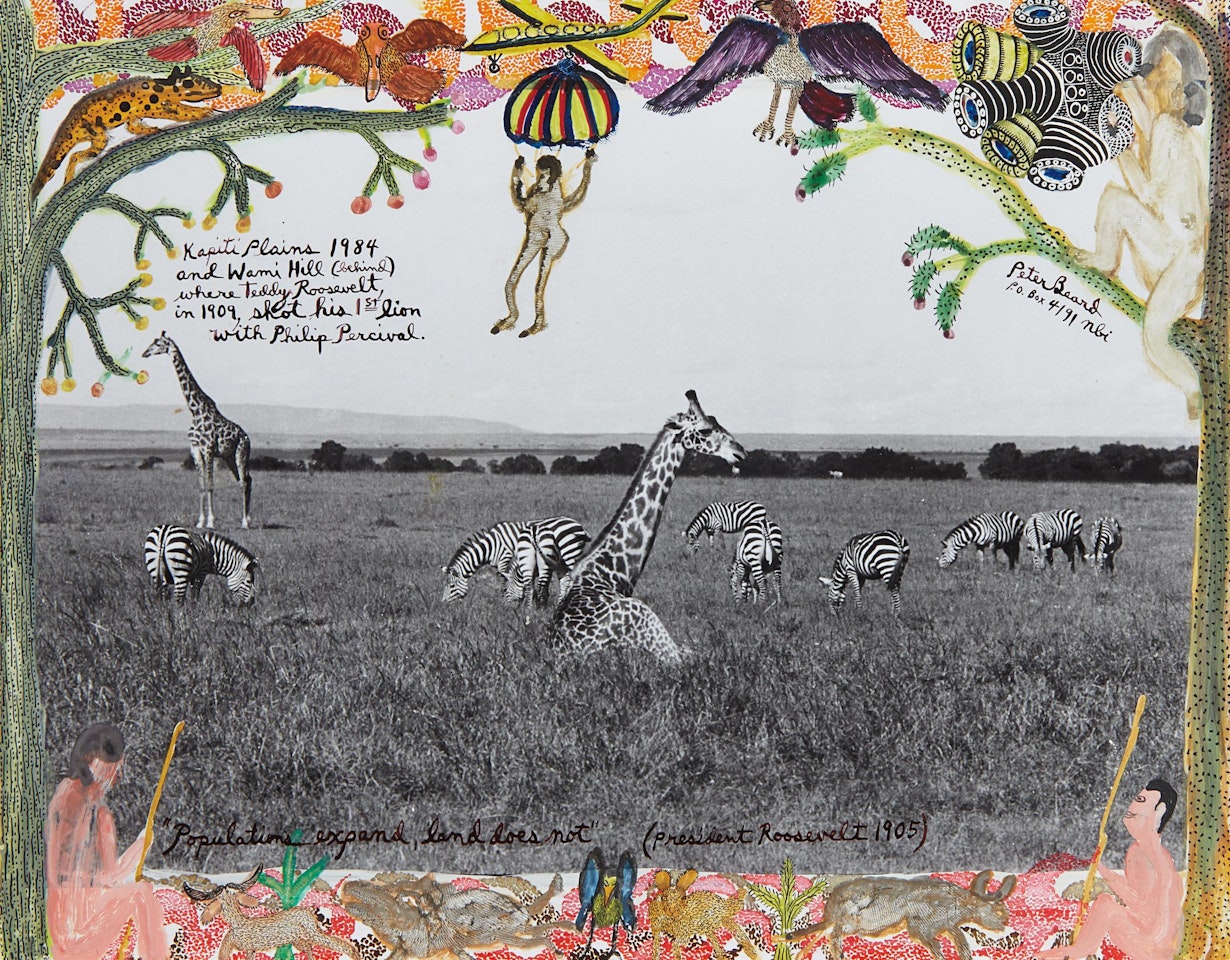 Giraffes and Zebras by Peter Beard