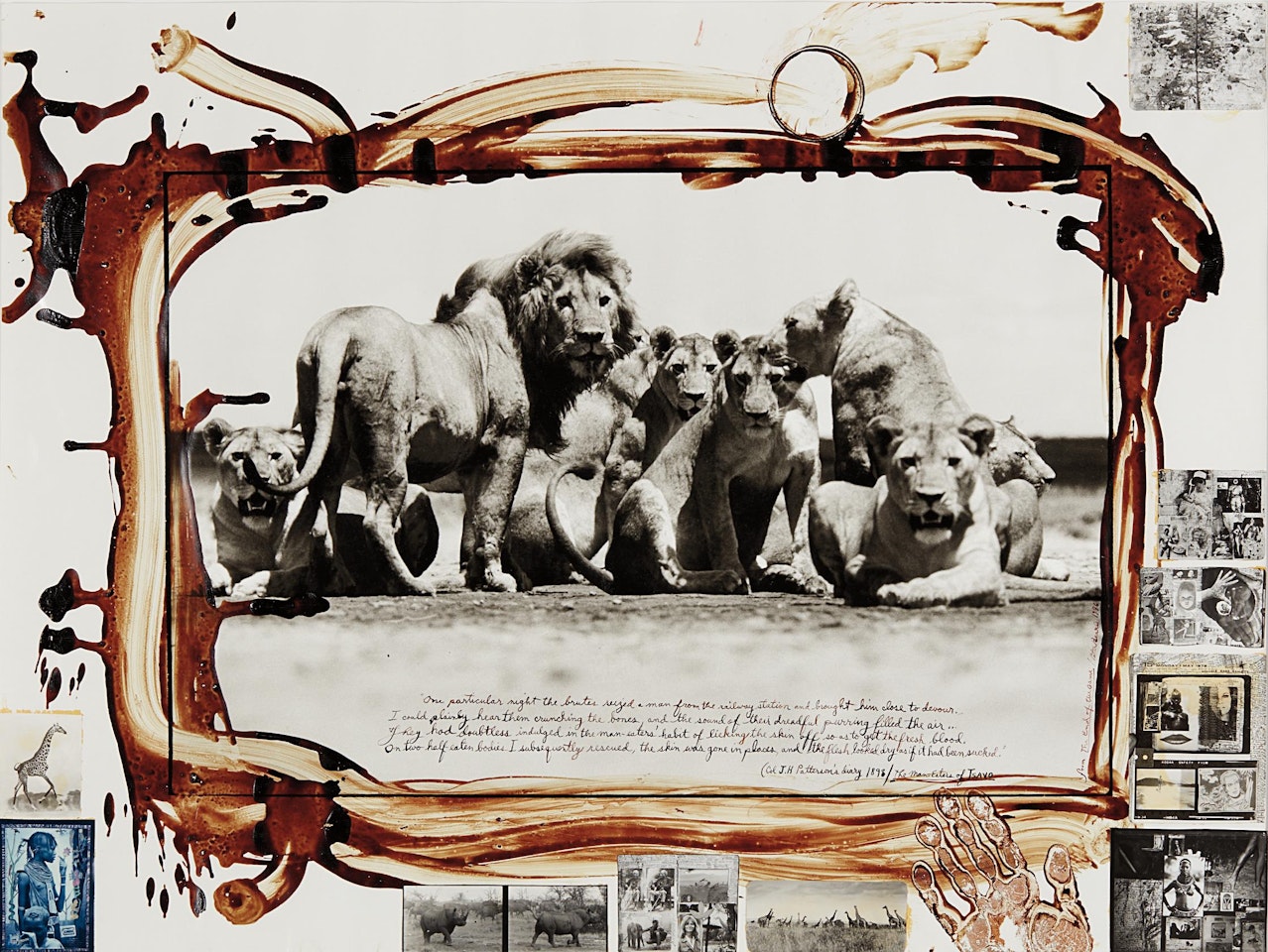 Lion Pride from The End of the Game by Peter Beard