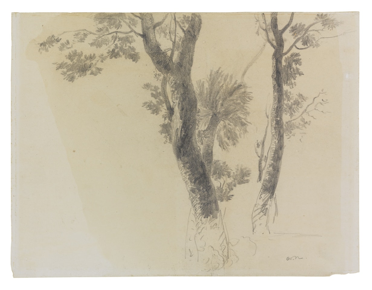 ÉTUDE D'ARBRES by Odilon Redon