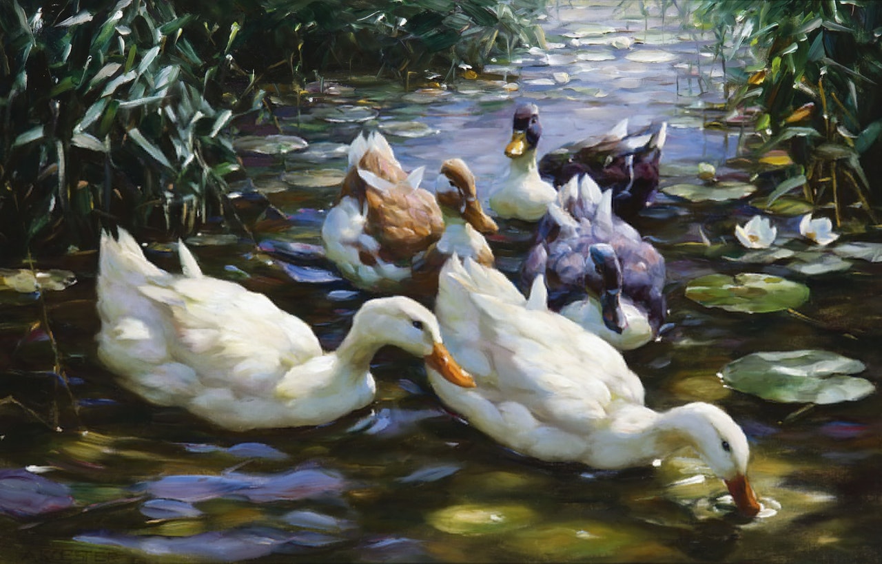FIVE DUCKS by Alexander Koester