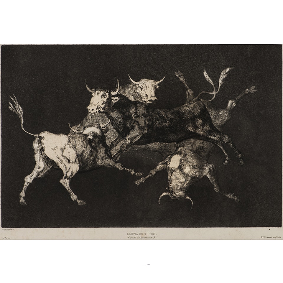 LLUVIA DE TOROS, additional board for
Proverbs by Francisco José de Goya