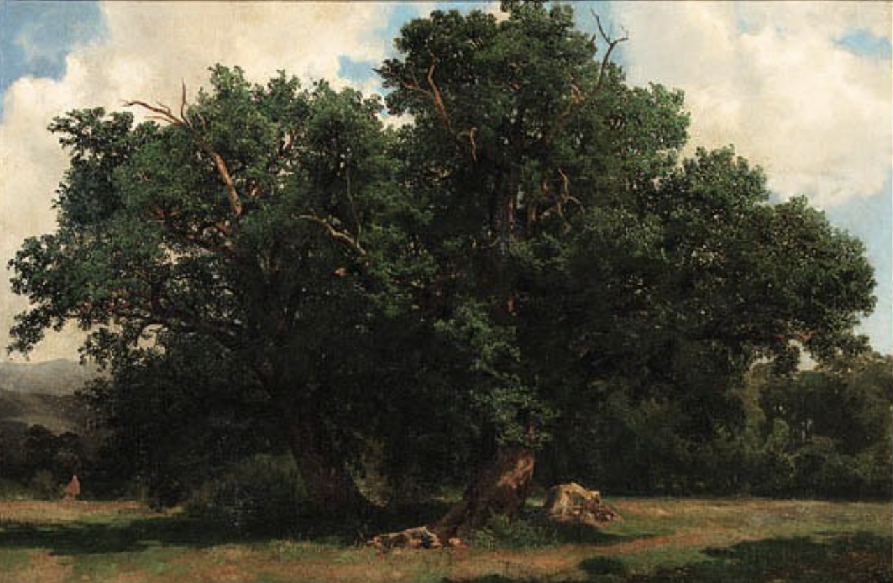 Oak trees by Alexandre Calame Oak trees by Alexandre Calame