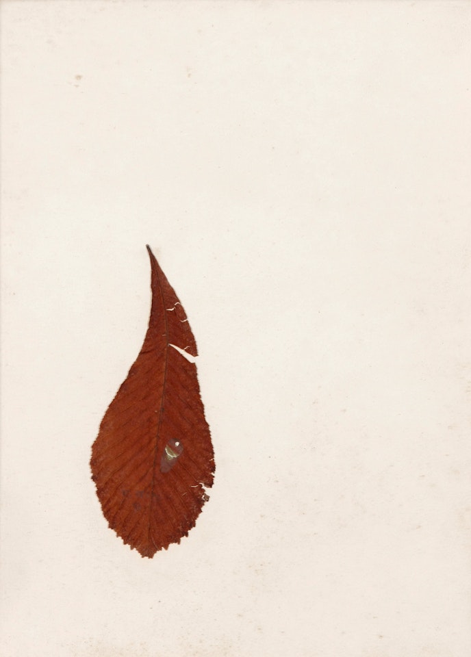 Waterdrops by Kim Tschang-Yeul