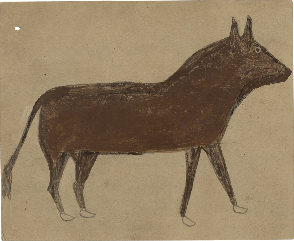 Steer by Bill Traylor
