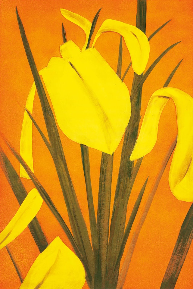Yellow Flags 4 by Alex Katz