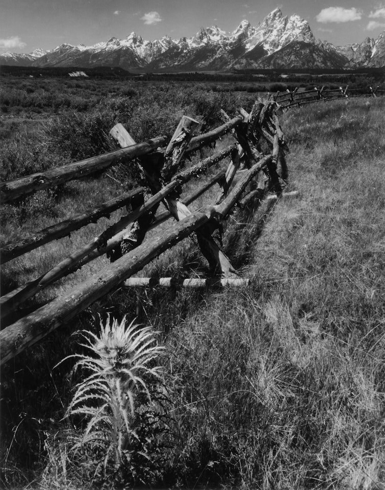 Rail Fence, Tetons by Ansel Adams