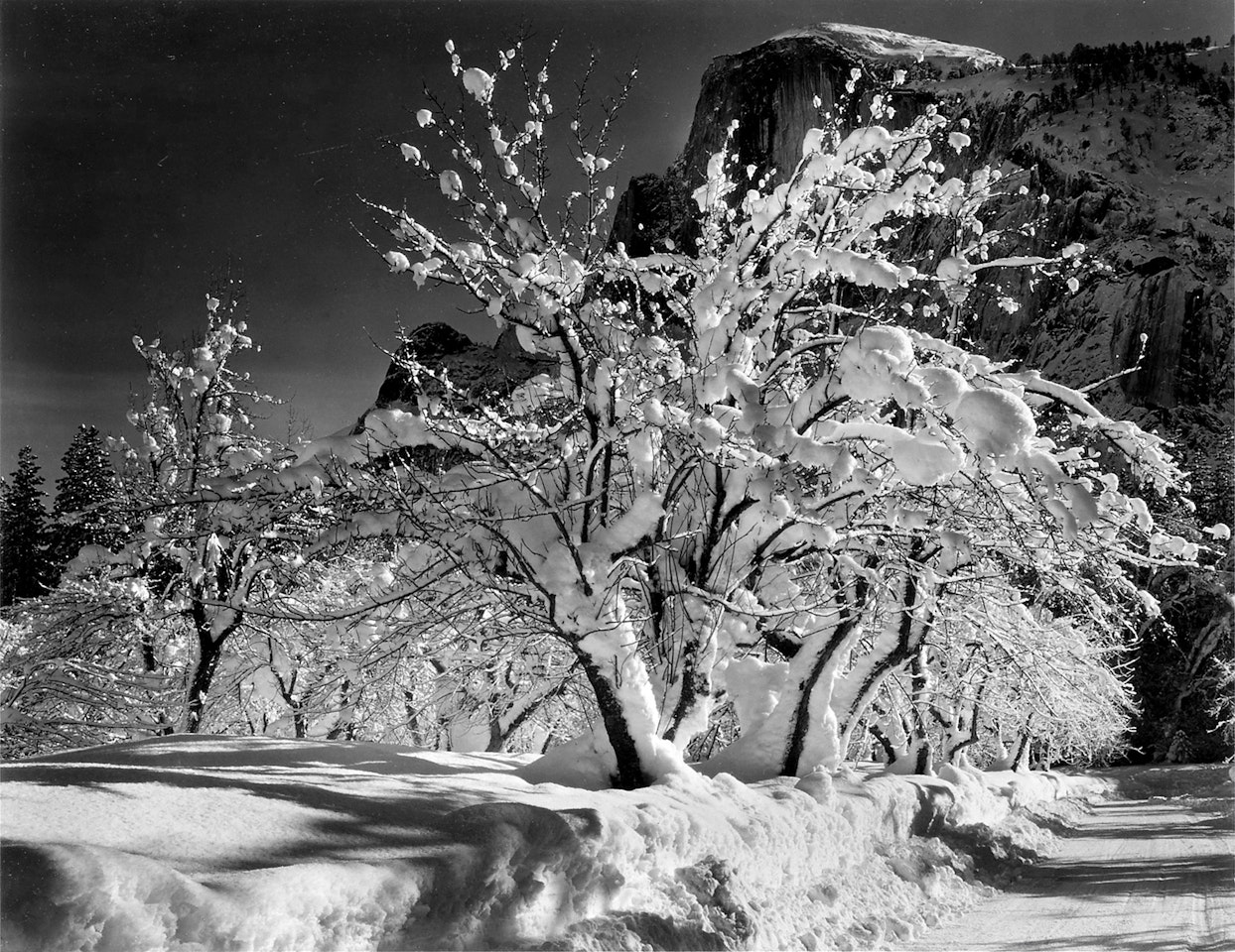 Winter, Yosemite Valley' (Half Dome, Apple Orchard, Winter, Yosemite) by Ansel Adams