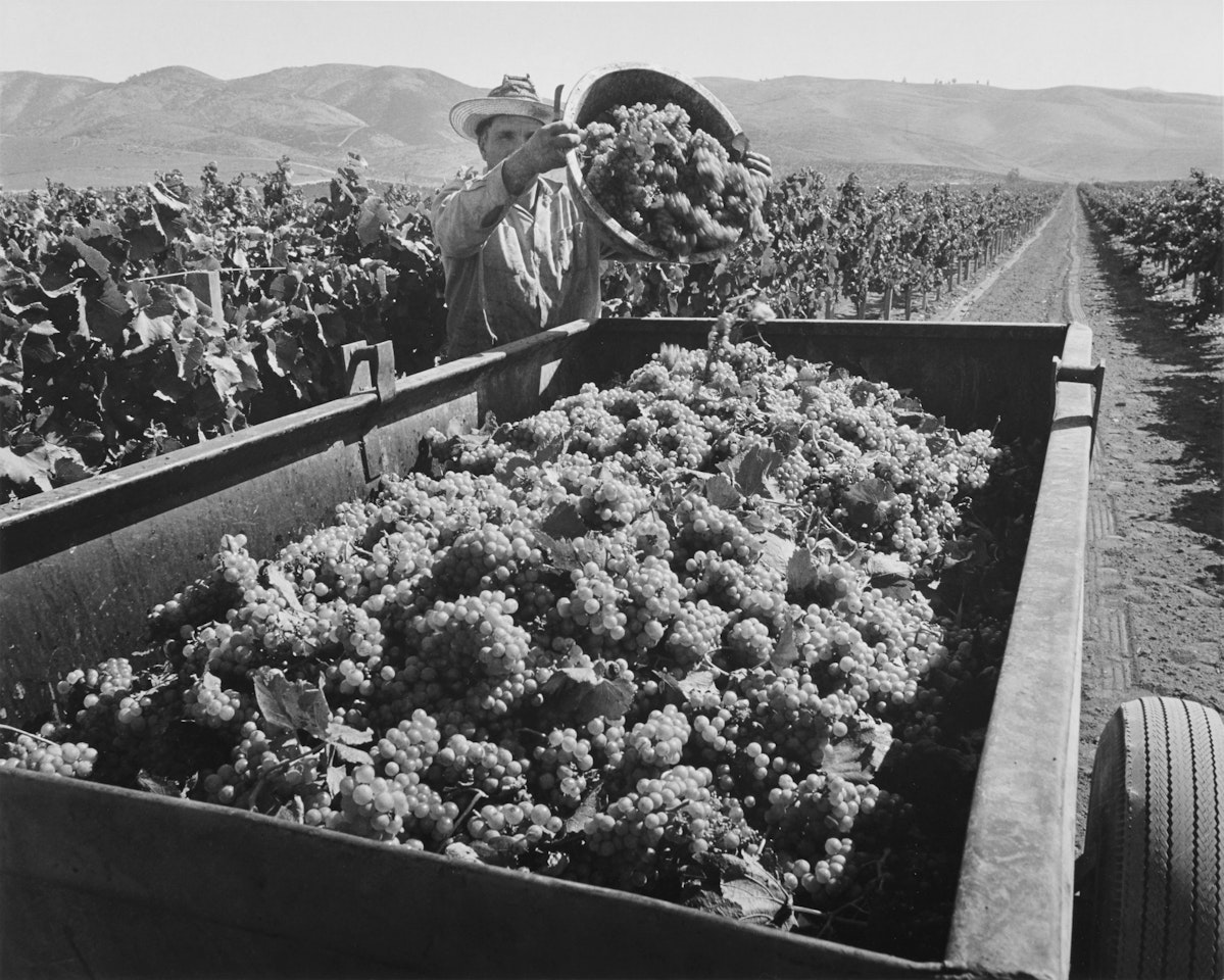Soledad by Ansel Adams