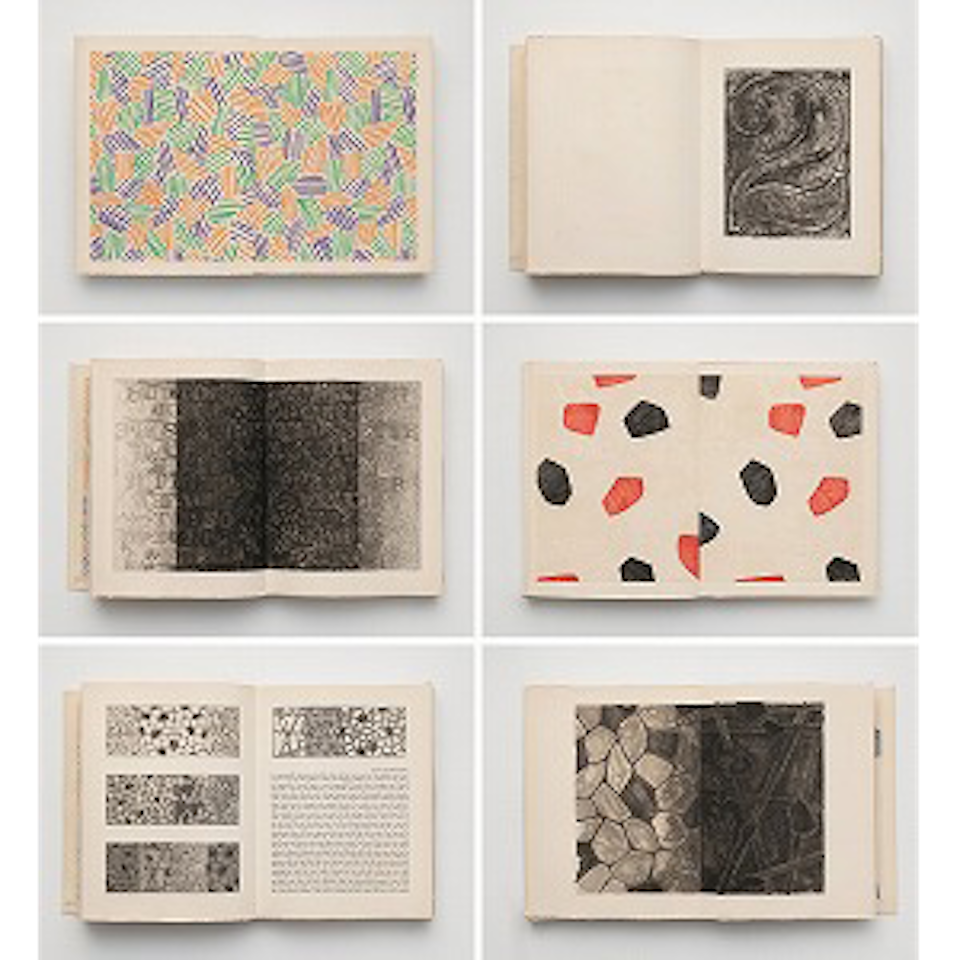 Fizzles (ULAE 173) by Jasper Johns