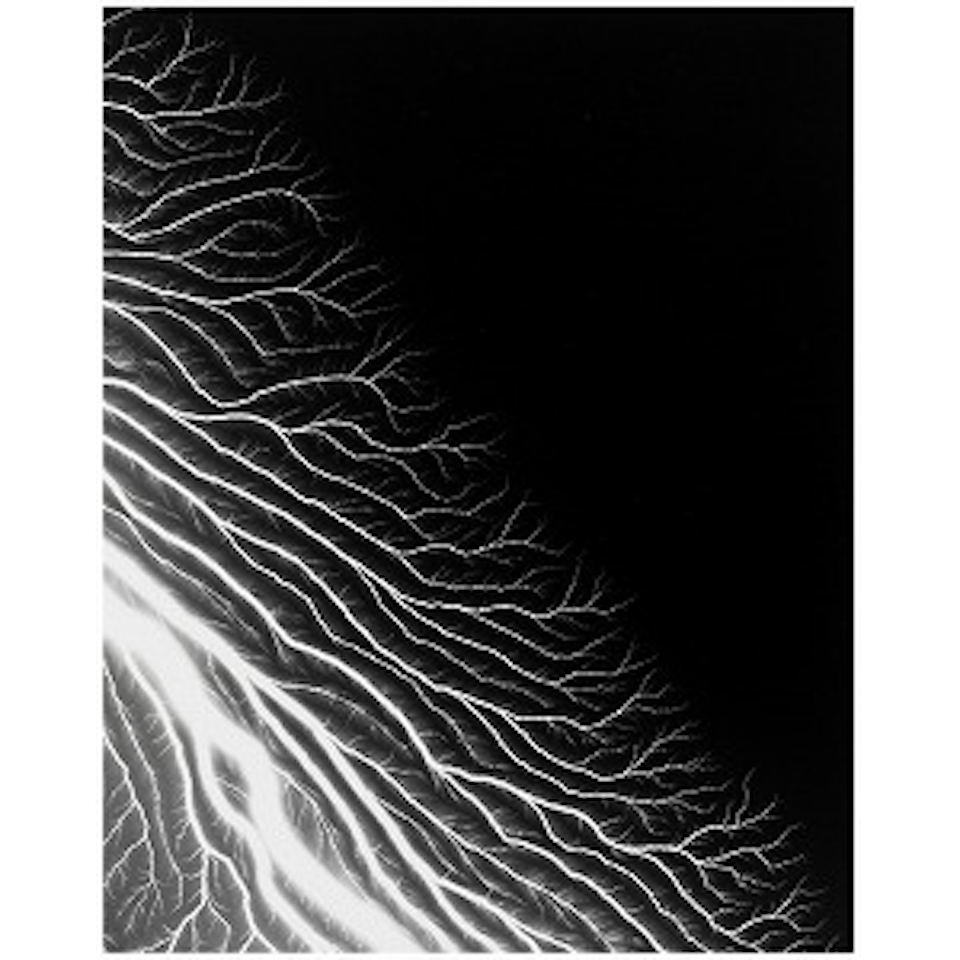 Lightning Fields 304 by Hiroshi Sugimoto