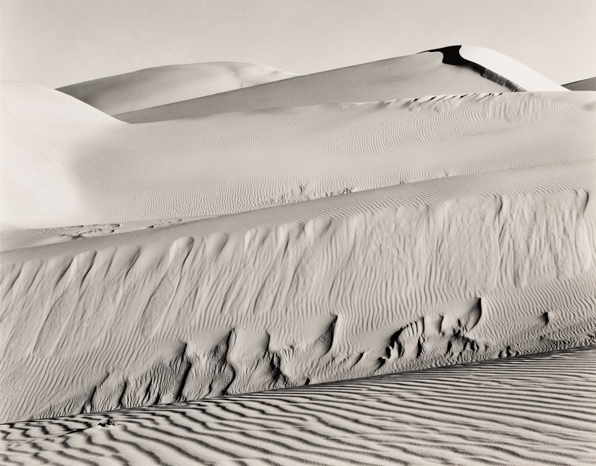 Dunes, Oceano by Edward Weston
