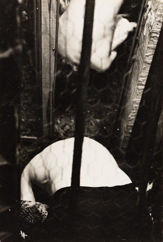 A pair of photographs by Vito Acconci