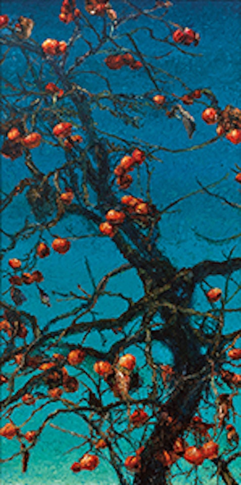 Persimmons by Oh ChiGyun