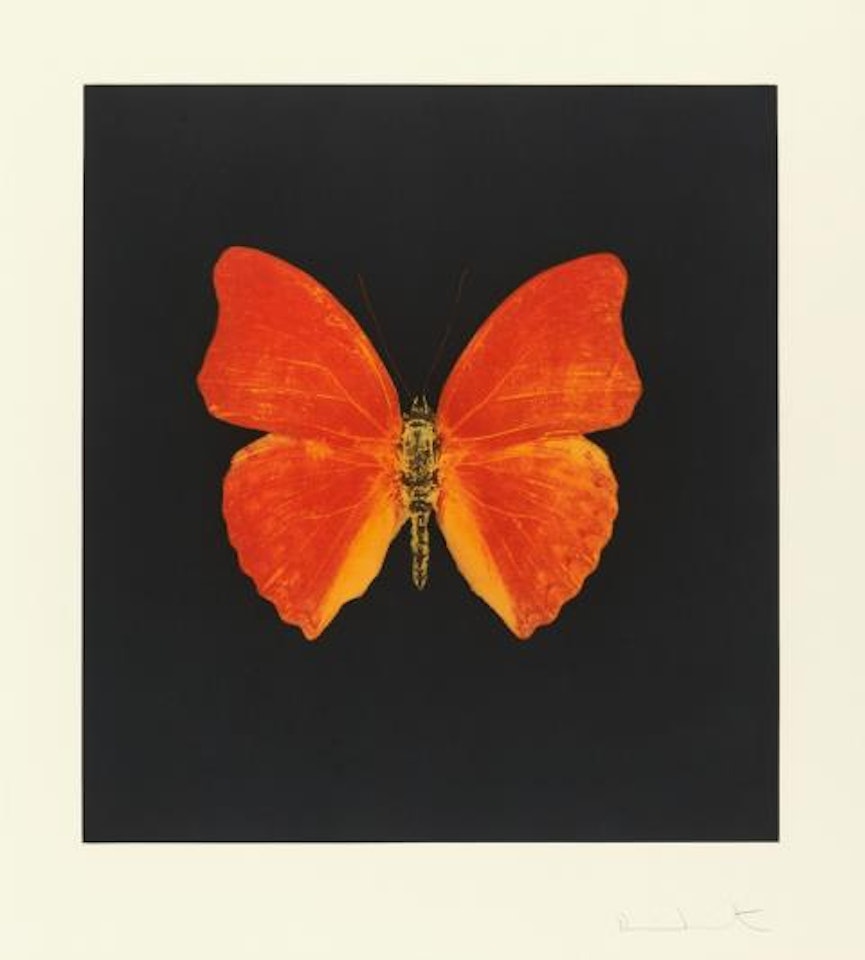 Aus: Memento by Damien Hirst