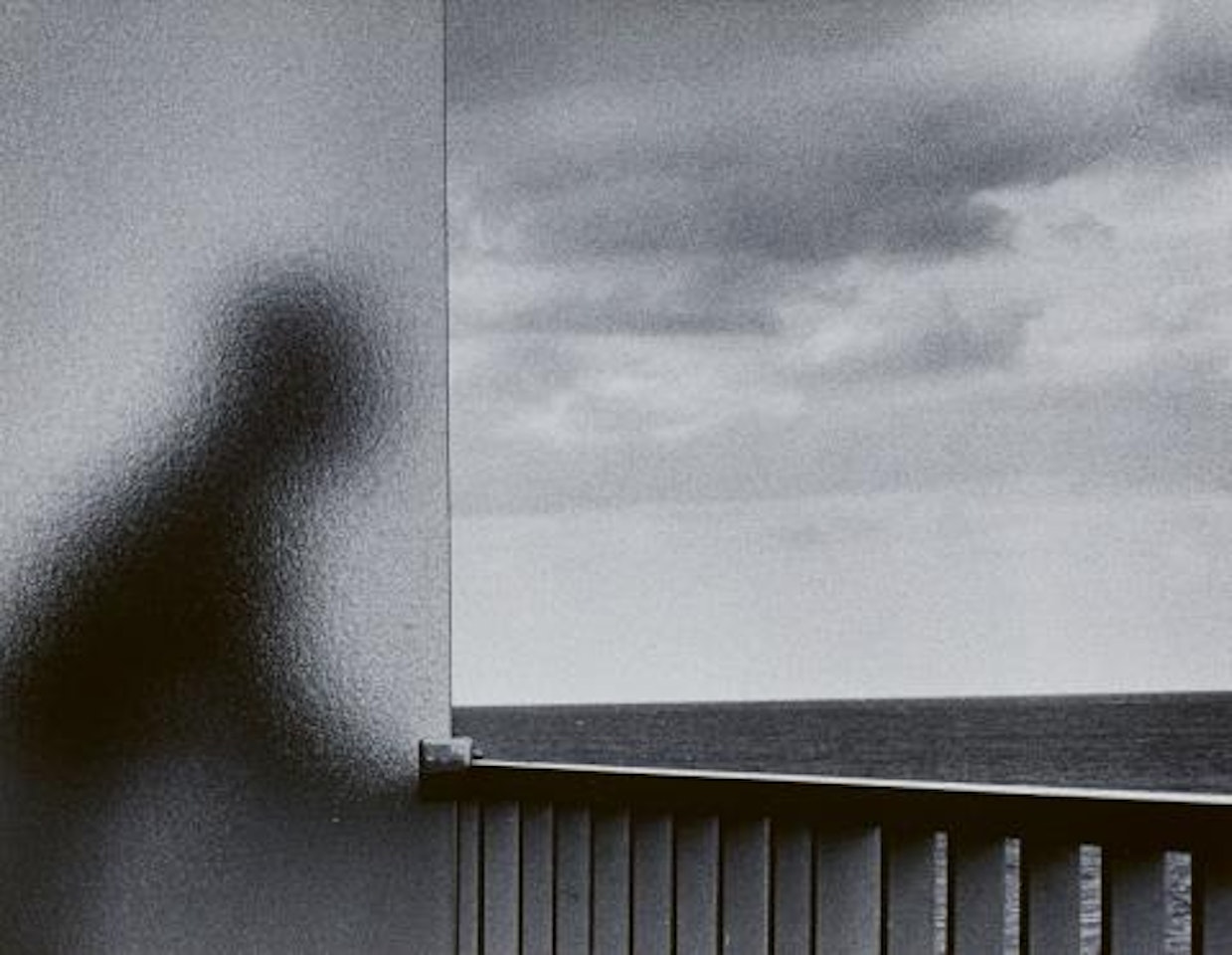 Martinique, January 1, 1972 by André Kertész