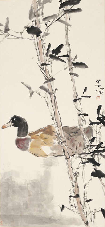 Duck by Yang Shanshen