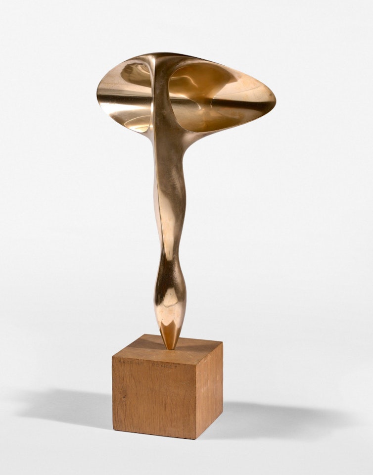 THE EAR A RELFETS by Antoine Poncet