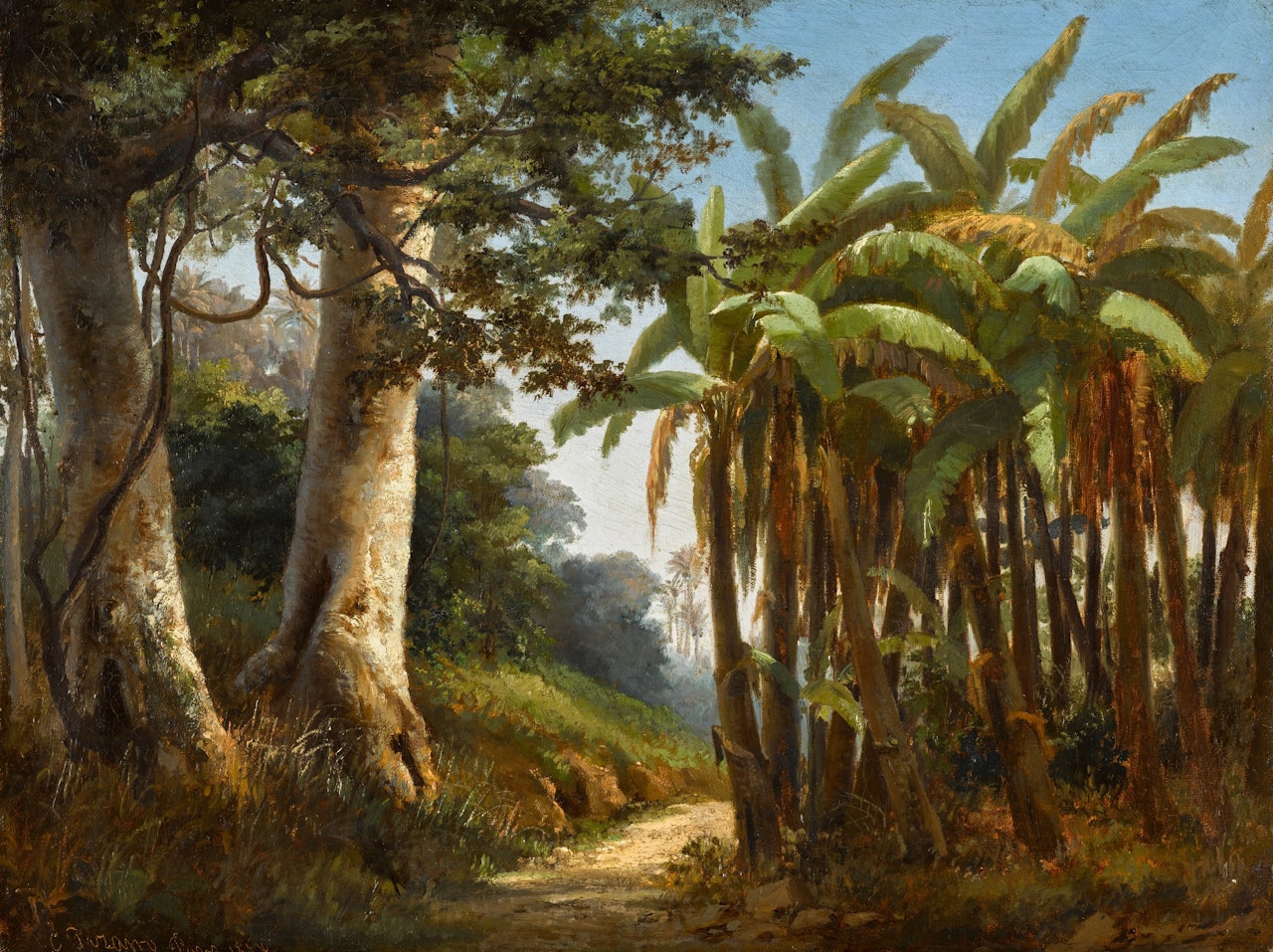 Forêt tropicale by Camille Pissarro