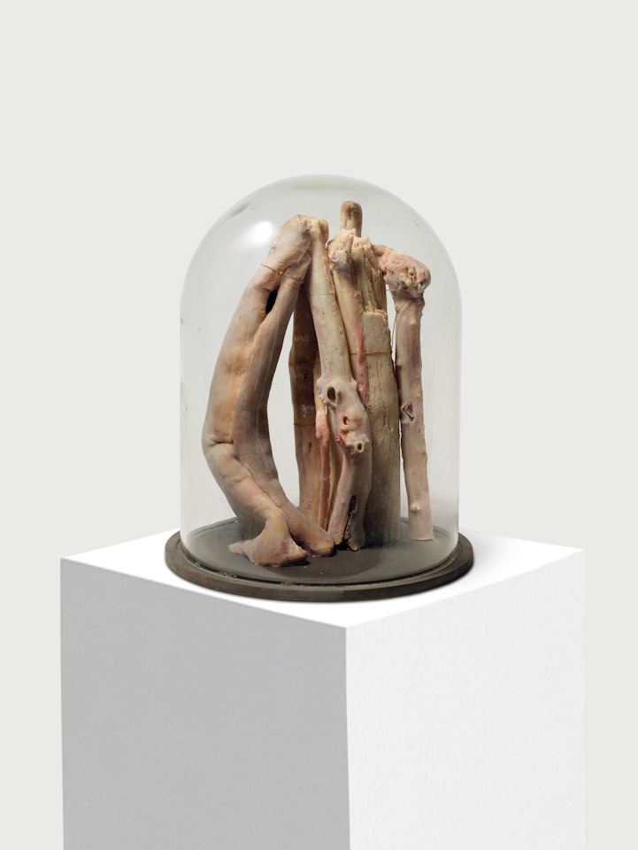 Glass Dome II by Berlinde de Bruyckere