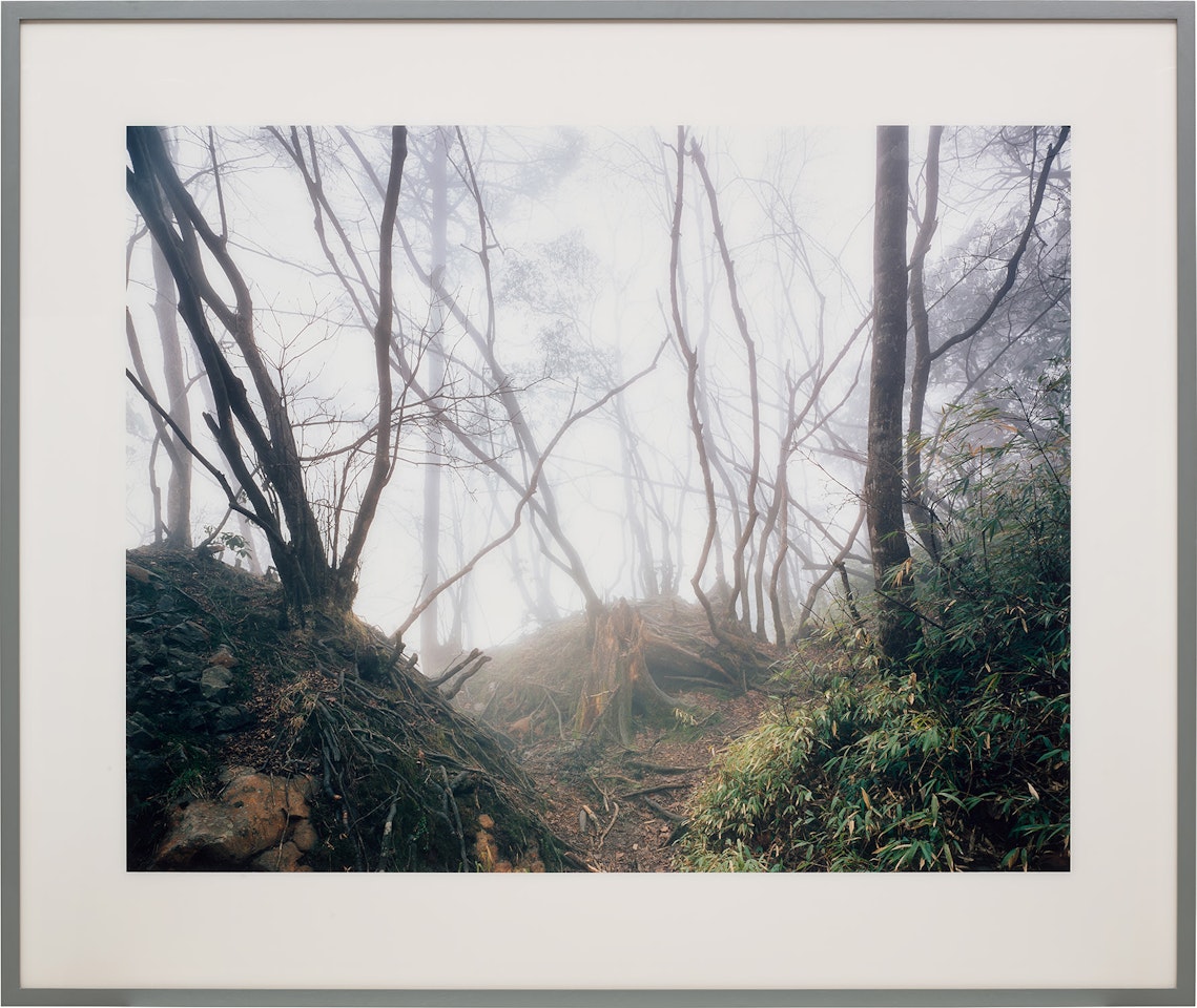 Paradise 18 (Emai Shan), Yunnan Province by Thomas Struth