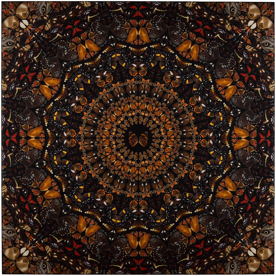 Earth (H6-6) by Damien Hirst