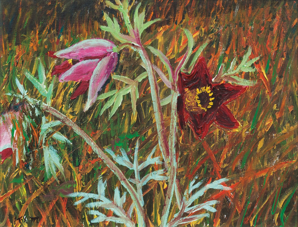 Pasqueflower by Kim Chong Hak
