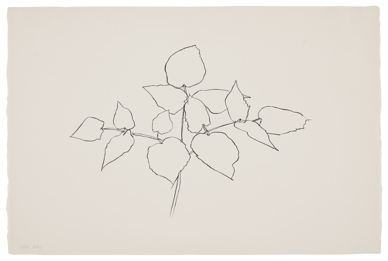 Woodland Plant by Ellsworth Kelly