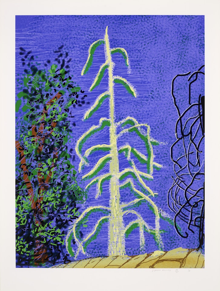 Untitled No. 14, from The Yosemite Suite by David Hockney