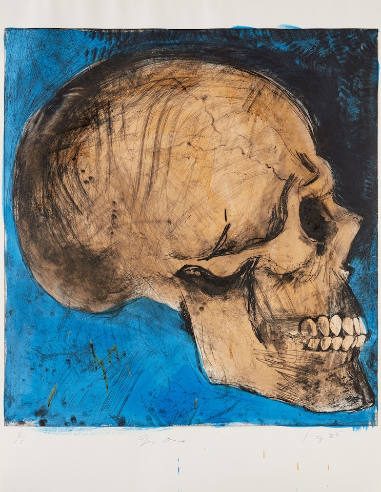 A Side View in Florida (C. 16) by Jim Dine