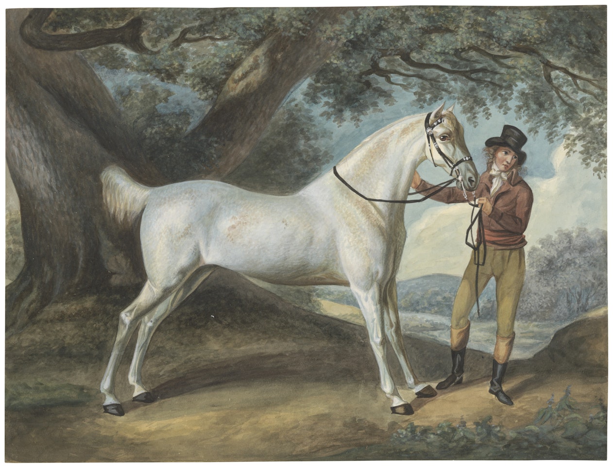 A young groom holding a horse by a great oak by English School