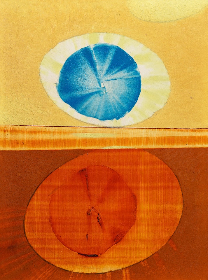Narcisse by Max Ernst