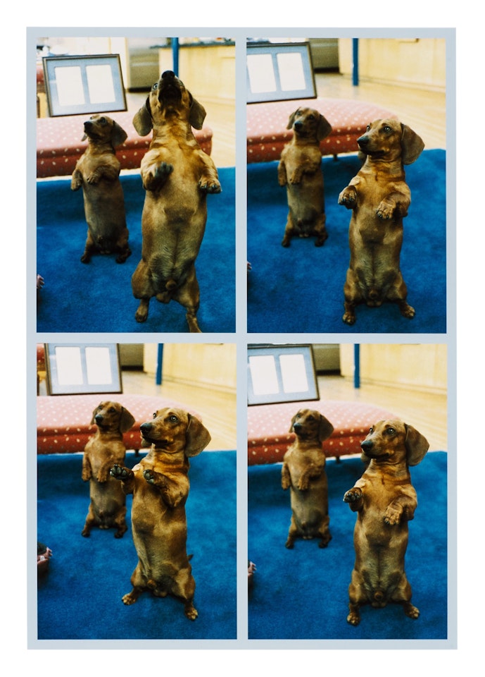 Stanley + Heinz, L.A., 1988 by David Hockney