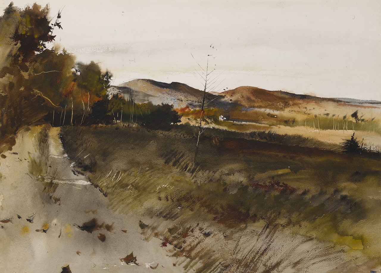 Beech Hill by Andrew Wyeth