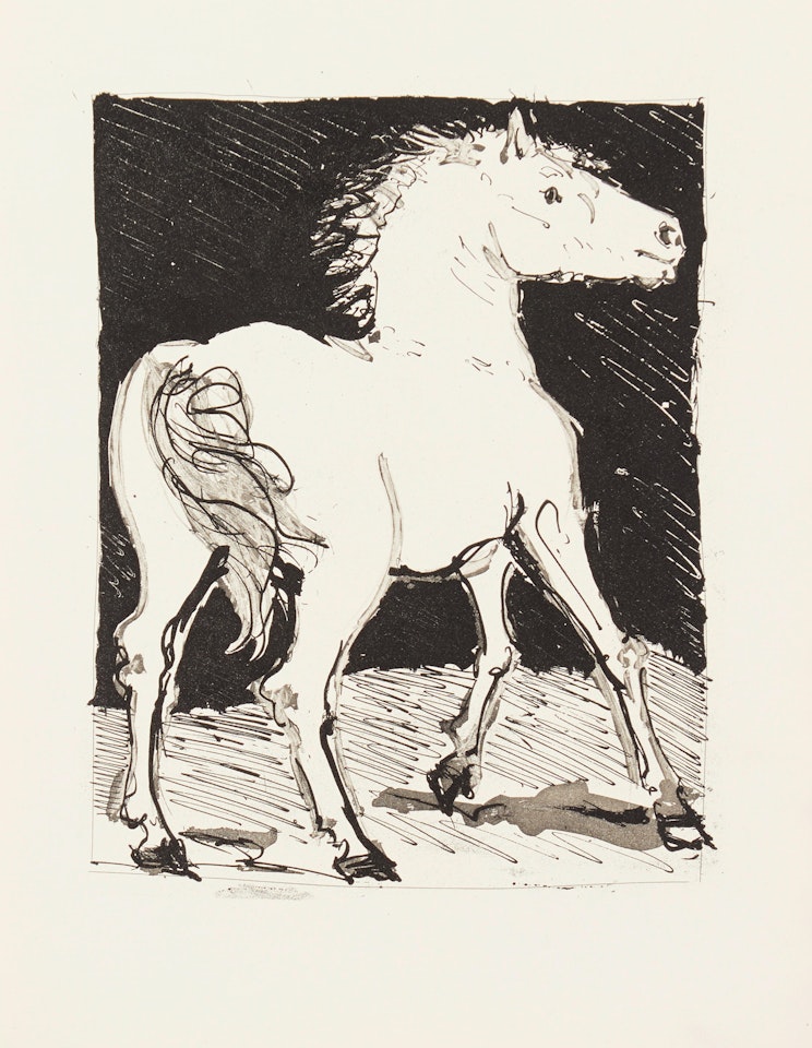 Histoire Naturelle (Eaux-fortes originales pour des textes de Buffon) by Pablo Picasso