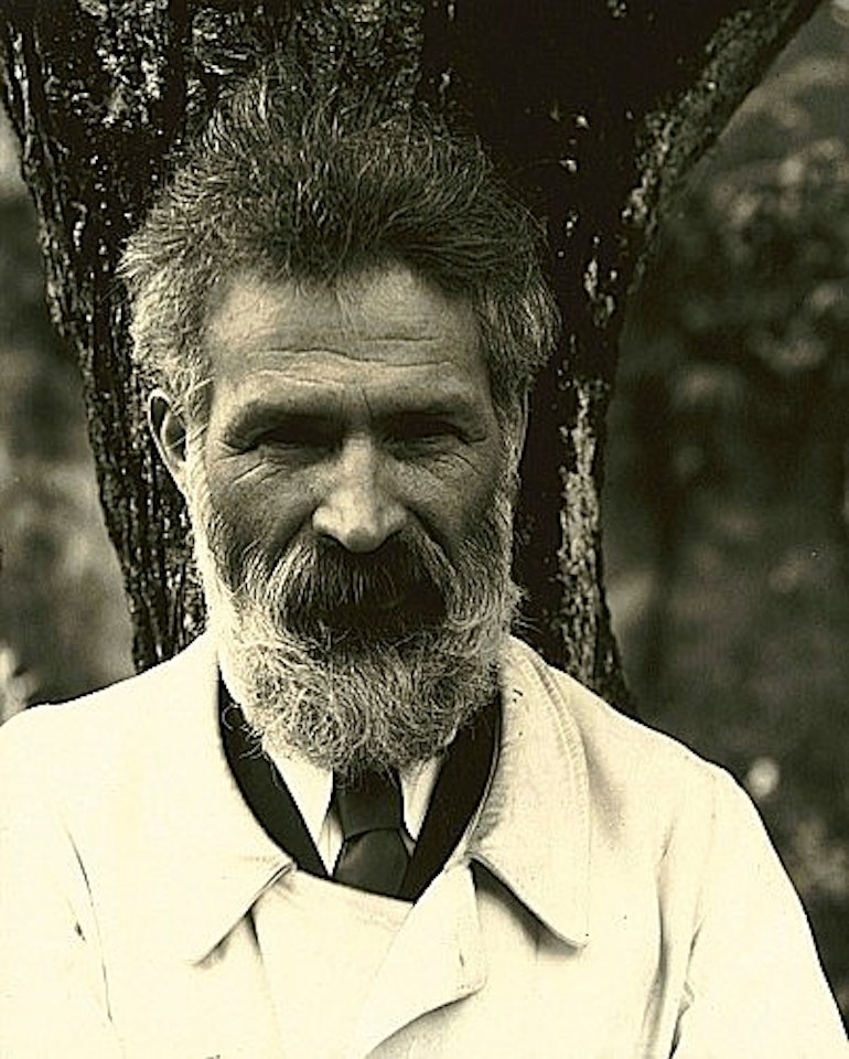 Constantin Brancusi, Voulangis, France by Edward Steichen