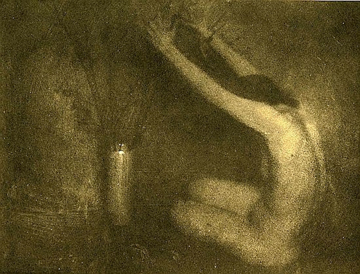 Dawn - Flowers by Edward Steichen