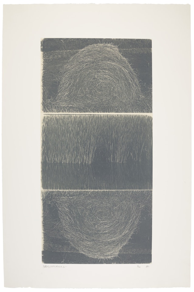 The Razorback Bunch: Etching II by Robert Rauschenberg