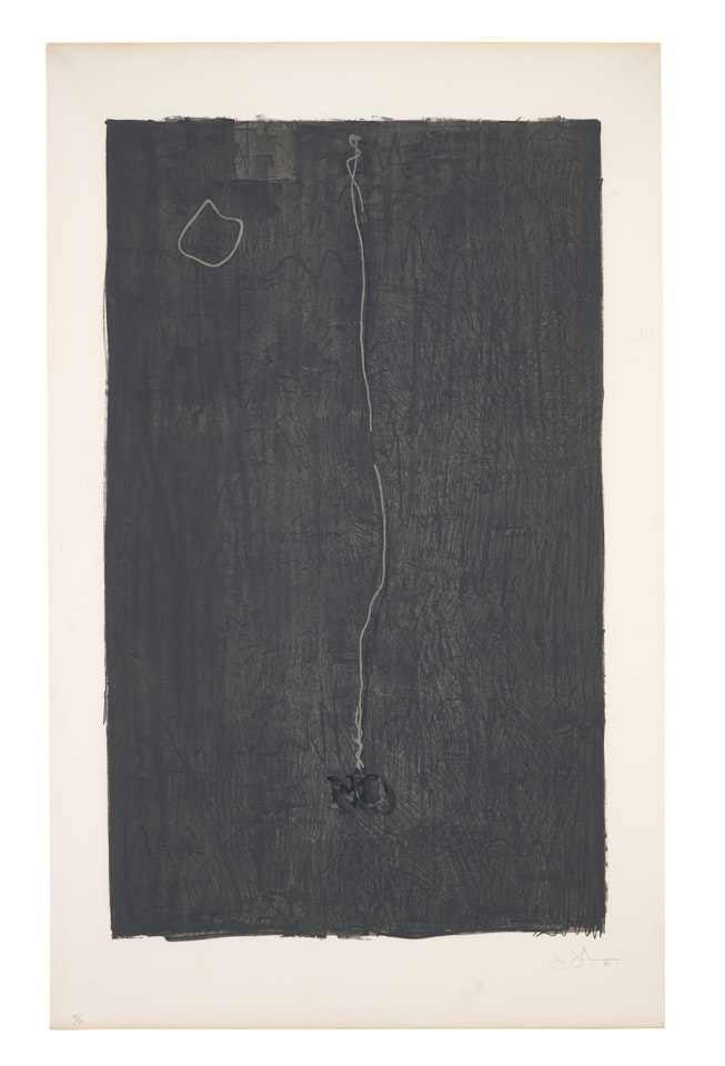 No by Jasper Johns