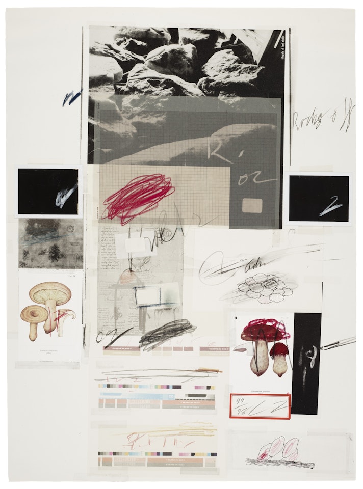 No. X, from Natural History Part I: Mushrooms by Cy Twombly