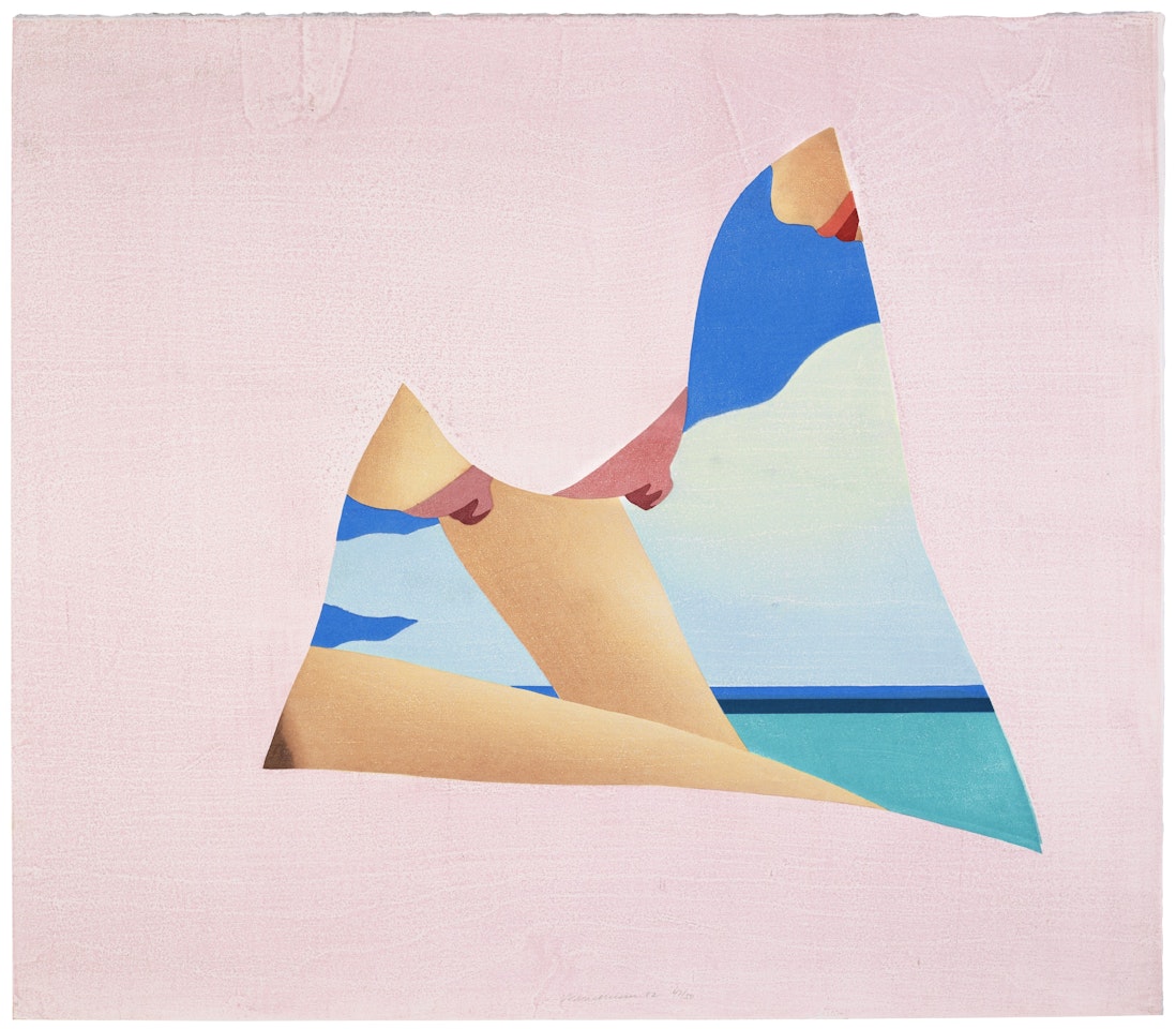 Seascape Dropout by Tom Wesselmann