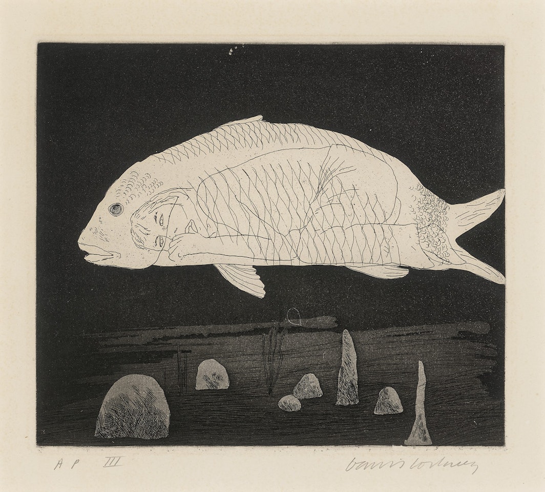 The Boy Hidden in a Fish, from: Illustrations for Six Fairy Tales from the Brothers Grimm by David Hockney