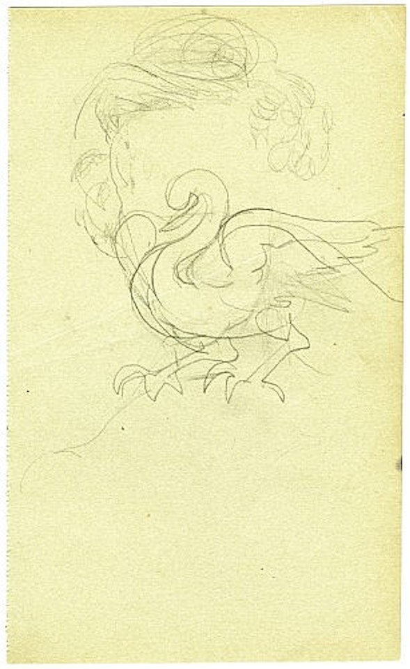 Étude de la chevelure pour le portrait de 'madame Phillips', cygne by Salvador Dali