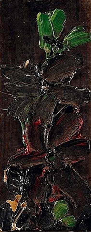 Fleurs by Thanos Tsingos