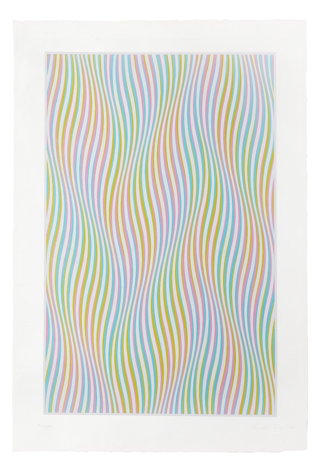 Elapse by Bridget Riley