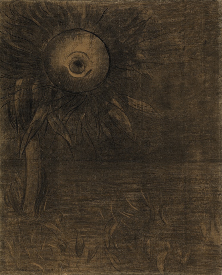 Fleur sur un marécage by Odilon Redon