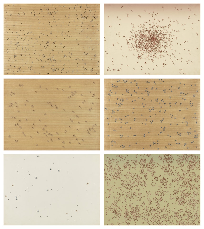 Insects by Ed Ruscha
