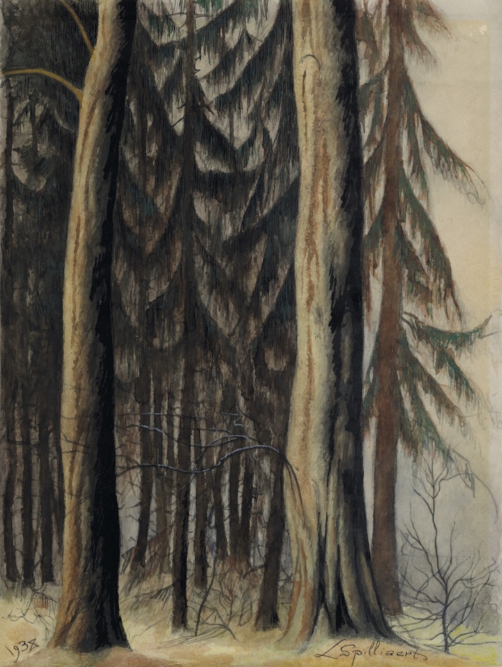 Forêt de sapins by Léon Spilliaert