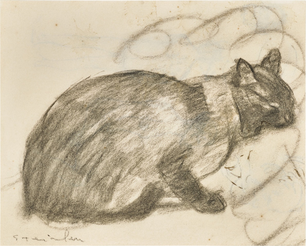 Chat siamois - recto Études - verso by Théophile Alexandre Steinlen